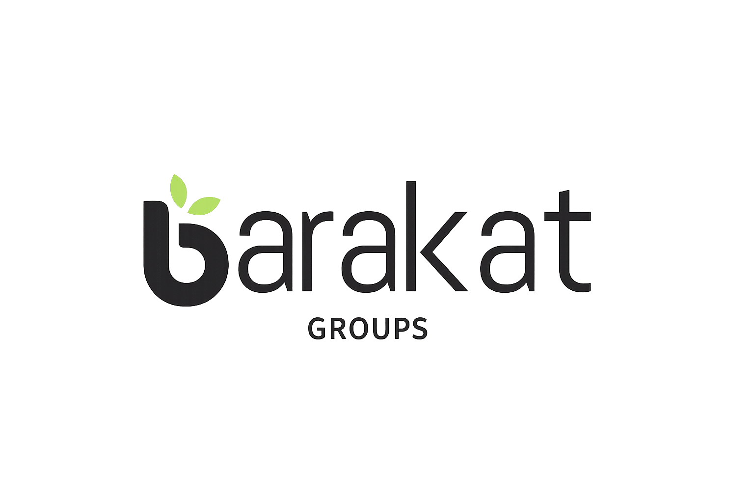 BARAKAT GROUPS Logo